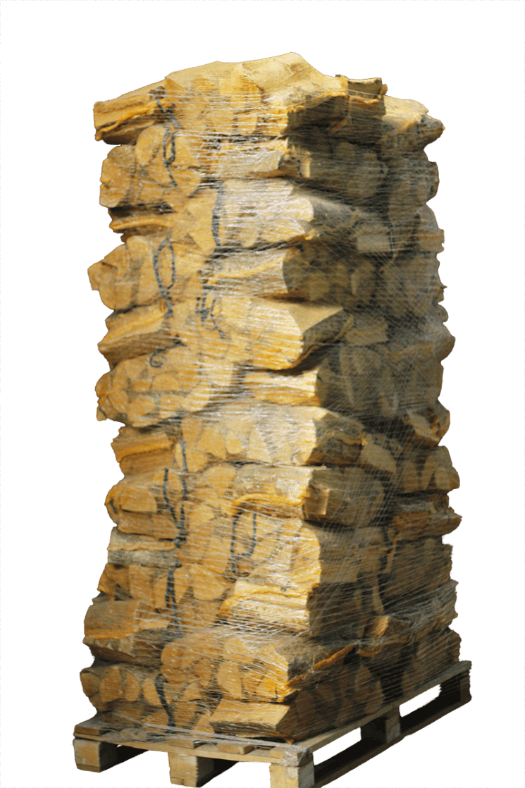 essenhout-in-net_3.png 88 Netze Kammergetrocknetes gespalten Esche Brennholz 30-33 cm – Bild 1