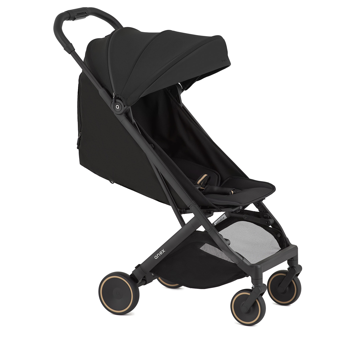Anex Air-X² Buggy Anex Air-X² Buggy – Bild 1