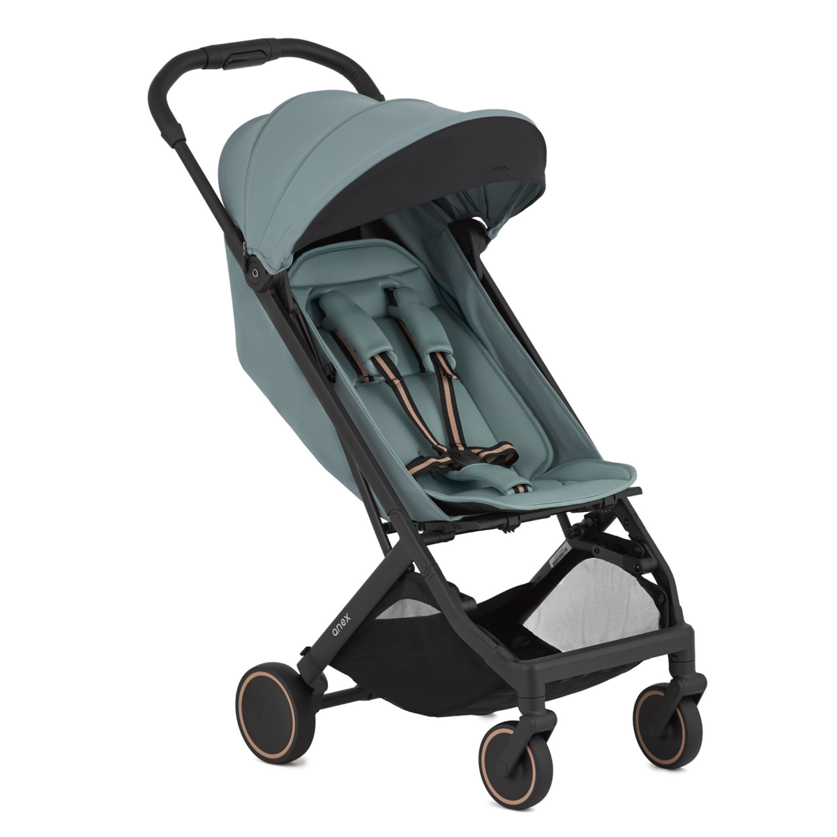Anex Air-X² Buggy Anex Air-X² Buggy – Bild 3