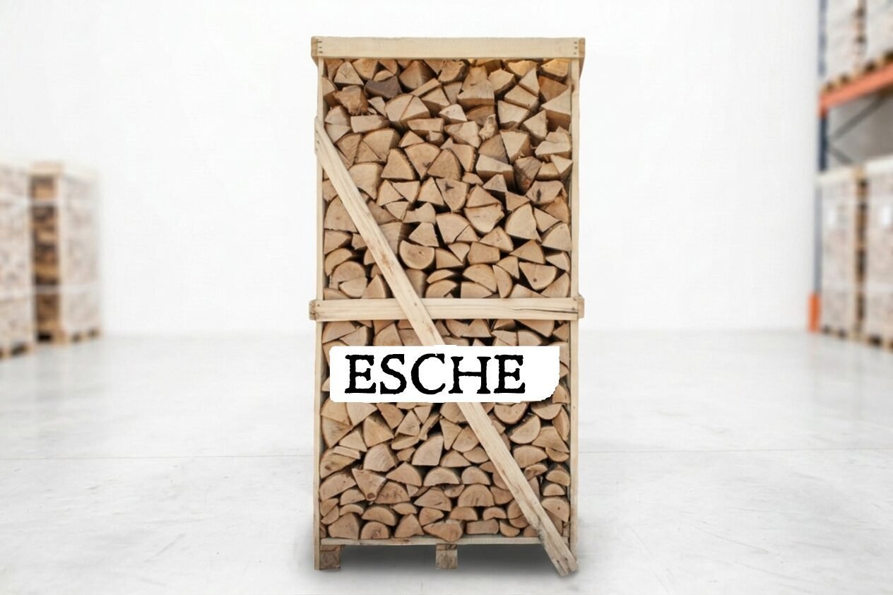 Brennholz Palette – Esche – 25 cm – kammergetrocknet – 1,8 RM Brennholz Palette – Esche – 25 cm – kammergetrocknet – 1,8 RM – Bild 1