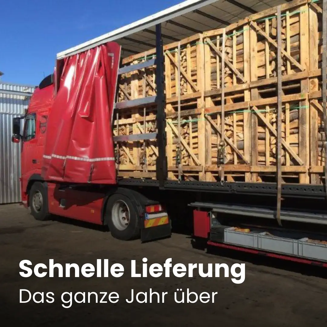 Beladen eines Lastwagens mit Eschenbrennholz Beladen eines Lastwagens mit Eschenbrennholz – Bild 1