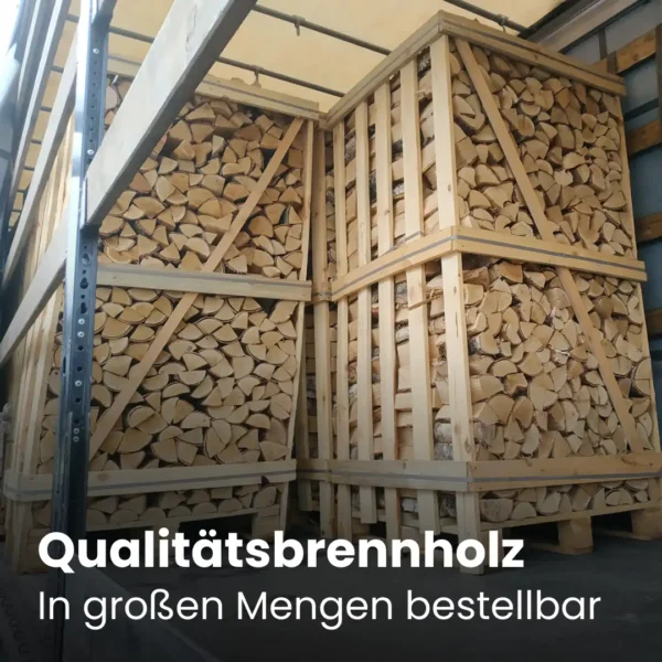 LKW beladen mit Birkenbrennholz