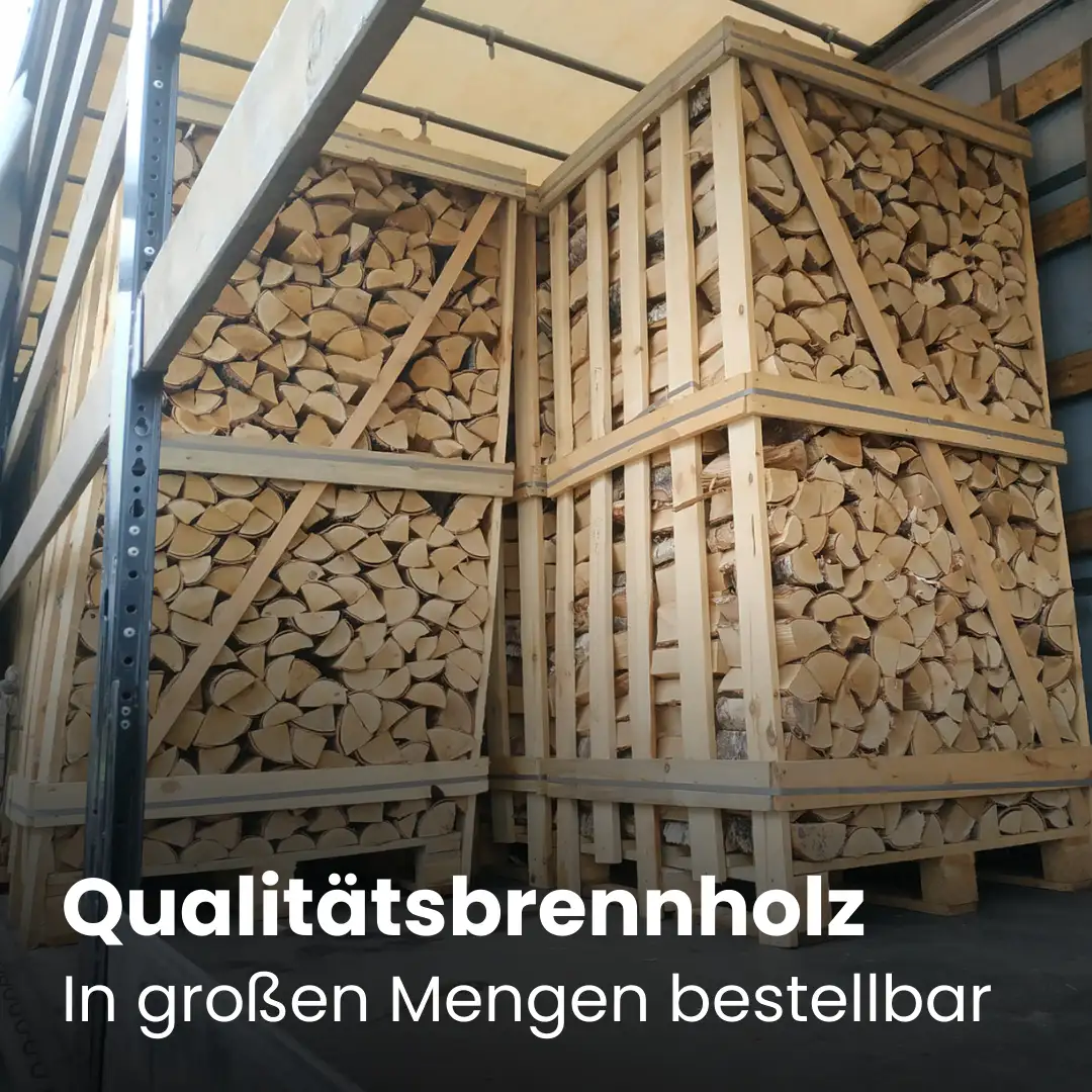 Beladen eines Lastwagens mit Eschenbrennholz Beladen eines Lastwagens mit Eschenbrennholz – Bild 7