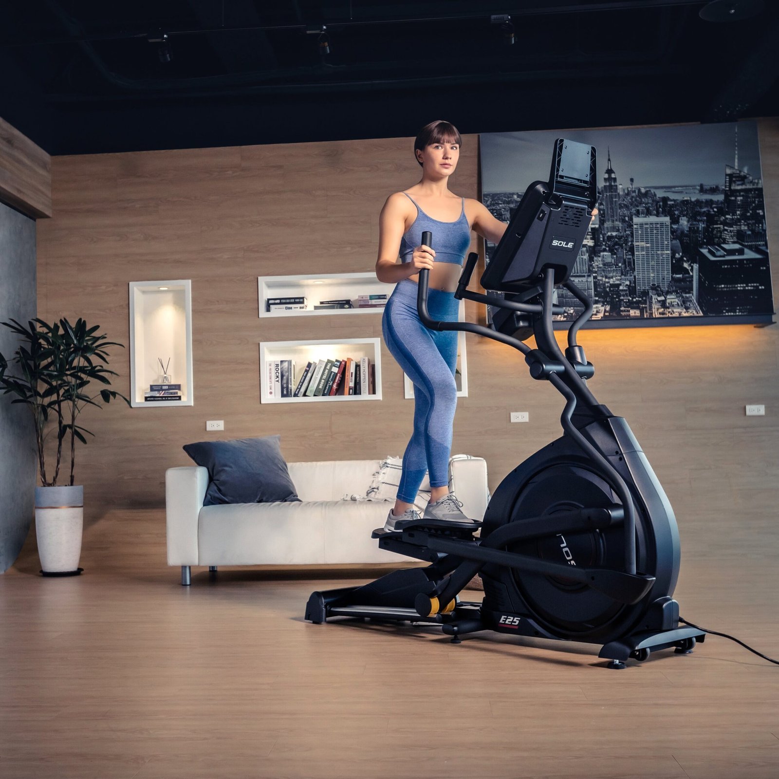 Sole Fitness Ellipsentrainer E25 Sole Fitness Ellipsentrainer E25 – Bild 2