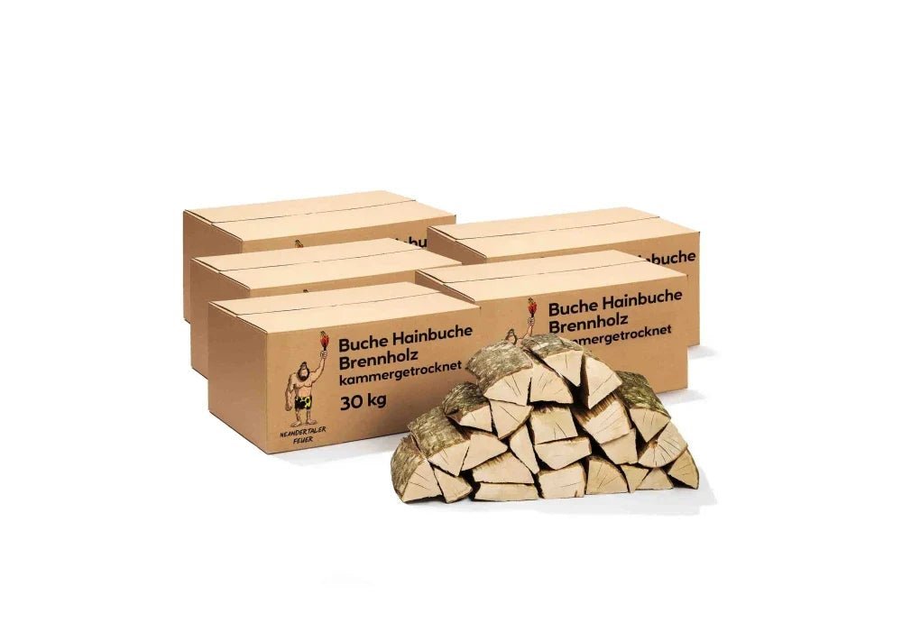 Brennholz Buche Hainbuche 180kg Brennholz Buche Hainbuche 180kg – Bild 1