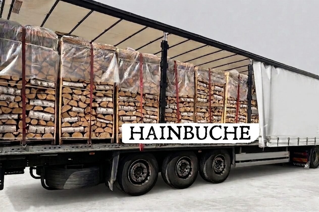 LKW-Ladung Brennholz – Hainbuche – 30/33 cm – kammergetrocknet – 2 RM Paletten LKW-Ladung Brennholz – Hainbuche – 30/33 cm – kammergetrocknet – 2 RM Paletten – Bild 1
